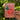 Orange You Glad Iron-On Patch