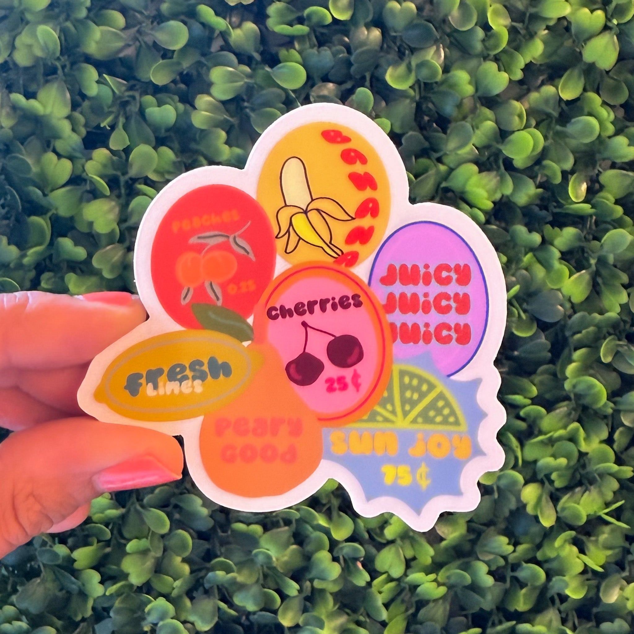 Fruit Clear Sticker
