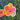 Fruit Clear Sticker