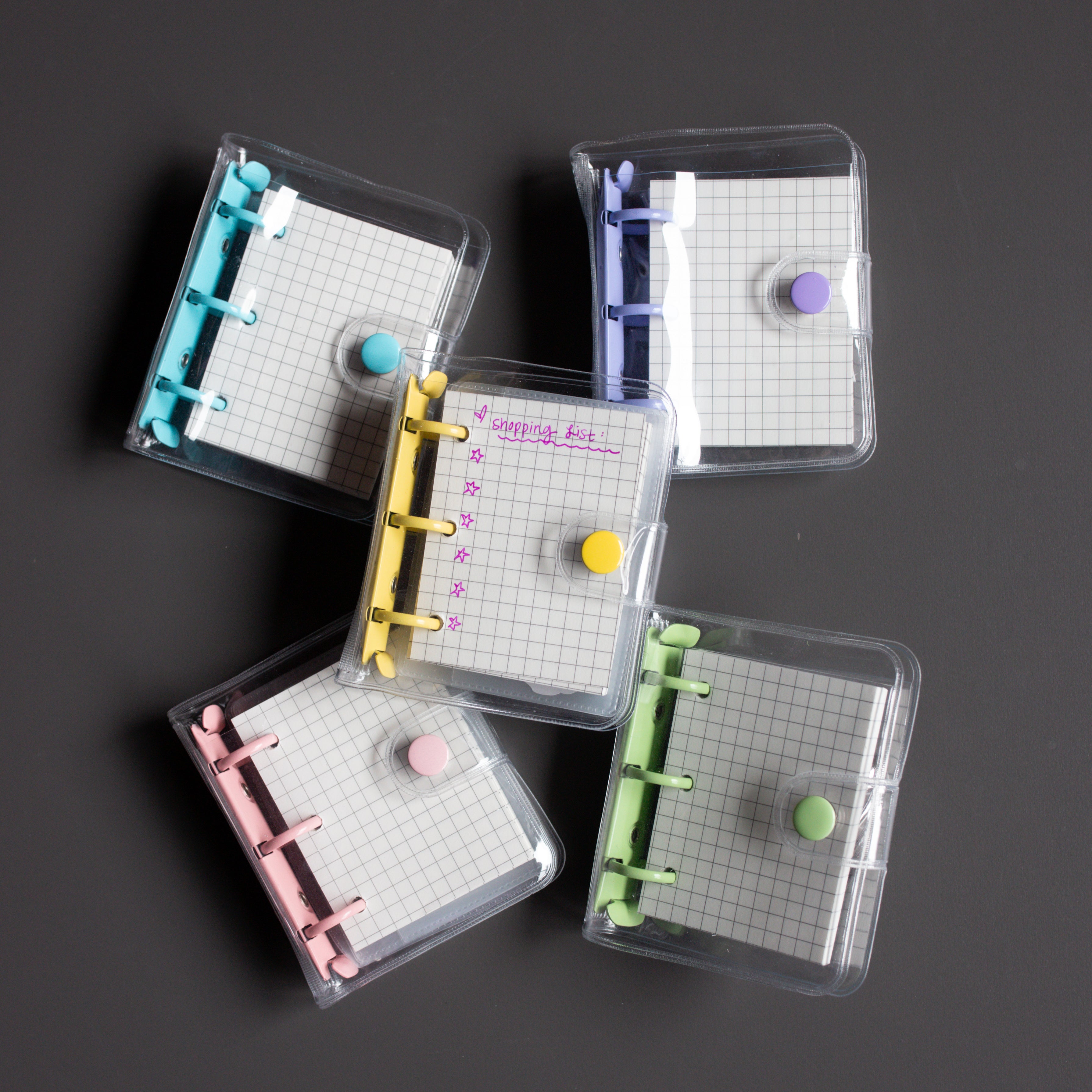 Teeny Vinyl Binder